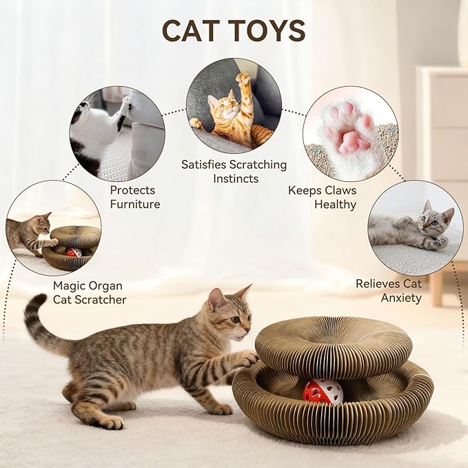 2PCS Cat Toys Magic Organ Cat Scratcher,Foldable Reversible Accordion Kitty Toy with Ball Bell for Indoor Outdoor Cat Toy Exercise Anxiety Relief