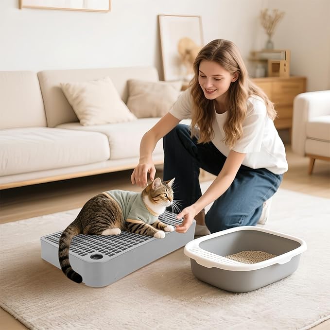 Cat Ramp Litter Box Step, Small Senior Cat Litter Box Mats Ramp for Floor with Filter Function, Low Entry Cute Cats Food Mat Stairs Prevent Tracking, Silicone Small Boxs Shield Catcher Mat Grey