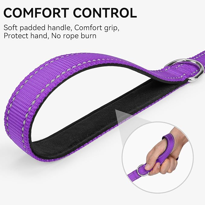 Joytale Dog Leash, 5 FT Double-Sided Reflective, Padded Handle Nylon Heavy Duty Leashes for Medium & Large Dogs Walking, Purple