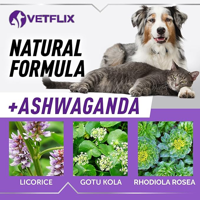 Balance Pet Adrenal Support for Dogs & Cats - Made in USA - Cushing's & Kidney Support Supplement - Natural Endocrine Health Formula - 2 Fl Oz