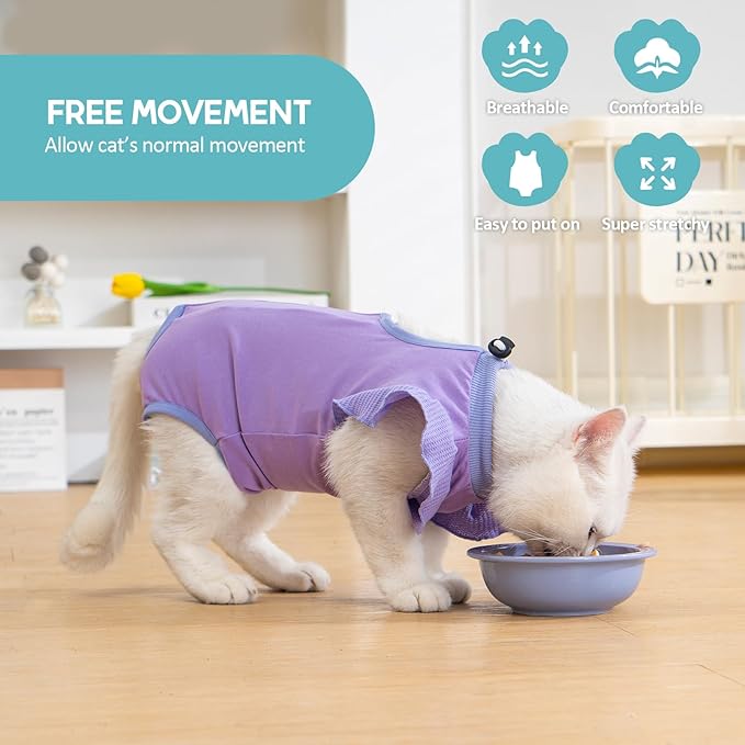 Avont Cat Recovery Suit - Post-Surgery Onesie for Cats, Alternative to Cone of Shame, Protective Spay Suit for Female Kitten, Ideal for Healing and Skin Conditions -Purple(M)