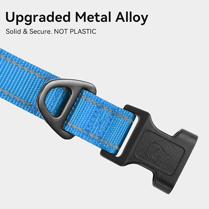 Joytale Reflective Dog Collar, Soft Neoprene Padded, Metal D-Ring, Nylon Pet Collar Adjustable for Medium Dogs, Sky Blue, M