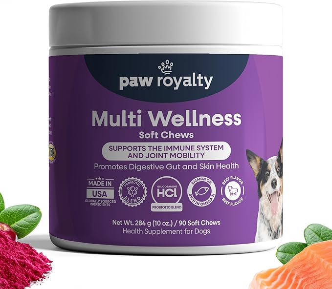 Multi Wellness Dog Multivitamin | Glucosamine, Chondroitin, Probiotics & Omega 3 for Joint Mobility, Digestive & Immune Support for Dogs| Beef Flavor Soft Chews, 90 Count