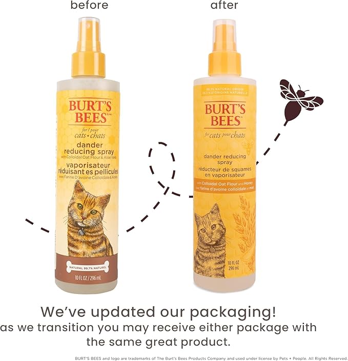 Burt's Bees for Pets Cat Dander Reducing Spray with Colloidal Oat Flour and Honey, Waterless Grooming Spray for Dry Skin and Dandruff Control, Cat Dander Remover for Allergy Support, 10 Fl Oz