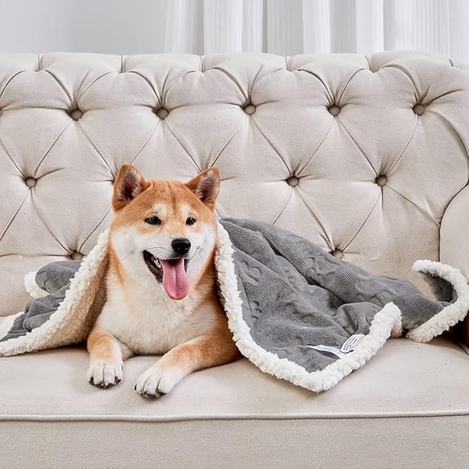 Qeils 1 Pack 3 Dog Blankets for Small Dogs - 3 pcs Waterproof Dog Blanket Washable - Soft Sherpa Fleece Puppy Blanket for Kitten Doggy, Warm Cat Blankets for Indoor Cats, 16"X23", Grey