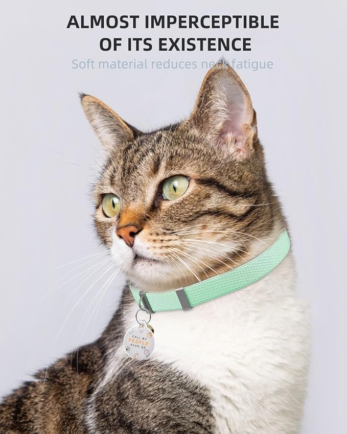 Cat Collar with QR Code Name Tag, Stretch Elastic Quick Release, Cat ID Tag Personalized, Ultra-Durable, Non Breakaway Lightweight Kitten Collar Fits Most Girl Boy Small Large Cats (Green)