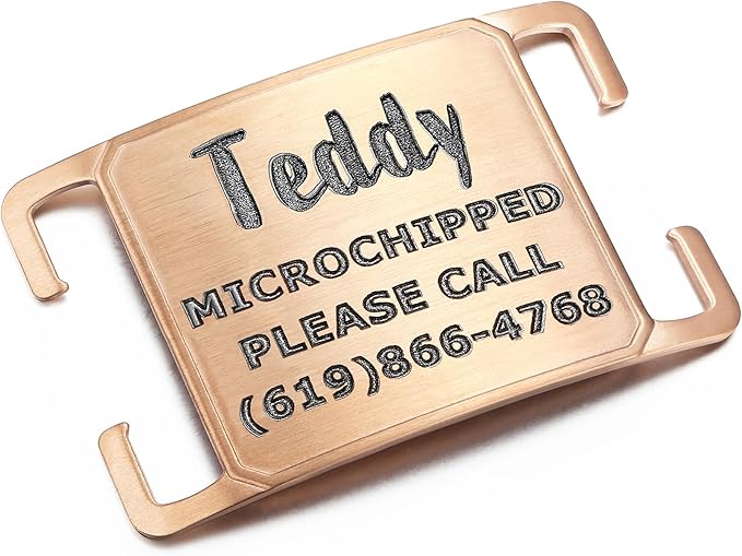 Deep Laser Custom Font Engraved Slide - No Noise Collar Tags, PVD Rose Gold Stainless Steel, 5 Lines of Personalized Text - Pet ID Name Tags for Dogs & Cats - Large