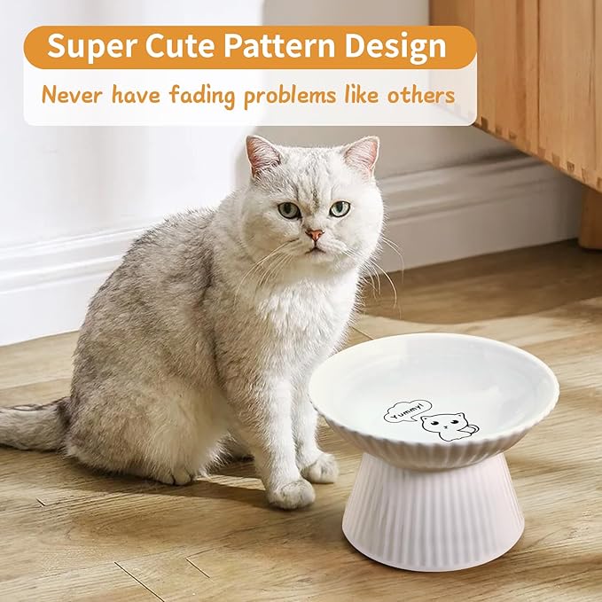 Upgraded 2 Ceramic Elevated Cat Bowls 6.5'' Extra Wide Raised Cat Food Bowls for Food and Water, Anti Vomiting, Cat Dishes for Indoor Cats, Whisker Friendly, Dishwasher & Microwave Safe