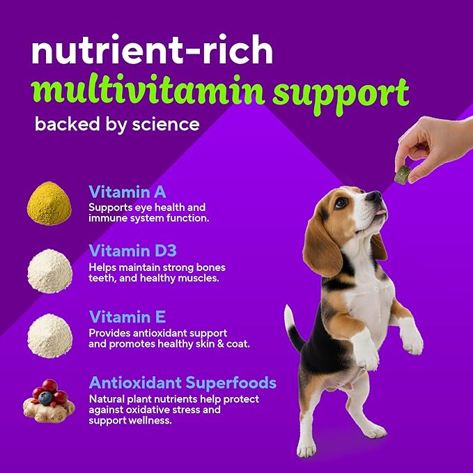 VitaFusion for Dogs Superfood Multivitamin – Daily Immune, Skin & Bone Support with Vitamins A, D & E + Antioxidant Superfoods – Vet Formulated Wellness for Puppies to Senior Dogs, 120 Chews.