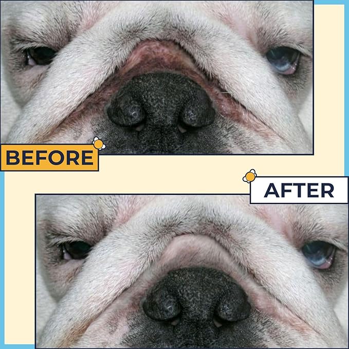 Paste for Bulldogs Wrinkle 2oz - Wrinkle Cream for Dogs, English Bulldog, Frenchie, Pug - Cleans Rashes,Tail Pockets, Dry Skin & Paws (Made in USA)