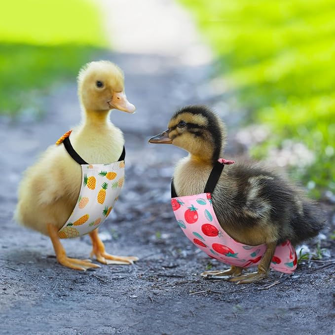 DoubleFill 6 Pcs Chicken Diapers for Indoor Chickens Reusable Washable Duck Diapers with Bowtie Adjustable Ducklings Pet Poultry Potty Training Clothes for Rooster Chicken Geese(Classic,M)