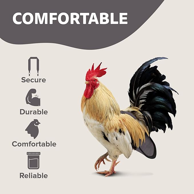 Hen Holster Premium Starter Kit - Bird Diaper, Wrap Around for Hens, Roosters, Ducks - Leak-Proof, Comfortable Bird Harness with Sewn-in Liner, Secure Hook & Loop Closure - Large, Gray