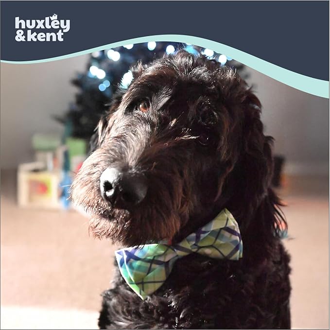 Huxley & Kent Pet Bow Tie for Dogs & Cats - Adjustable Hook & Loop Collar Accessory - Cute & Comfortable for Holidays & Celebrations - Lime Madras, Extra-Large