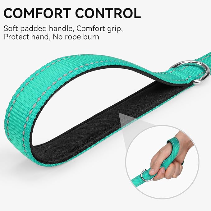 Joytale Dog Leash, 5 FT Double-Sided Reflective, Padded Handle Nylon Heavy Duty Leashes for Small Dogs Walking, Teal
