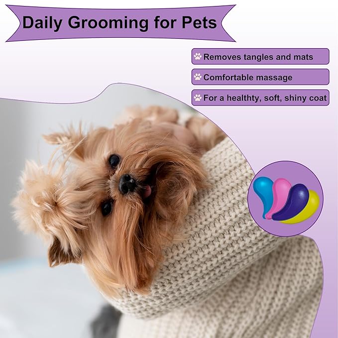 Gentle Grooming Puppy Brush with Gift Box ， Fit for Small Dog ， Yorkie, Shih Tzu, Maltipoo, Maltese and Pomeranian ，Toy Poodle Accessories, Soft Bristle (Glitter Purple)