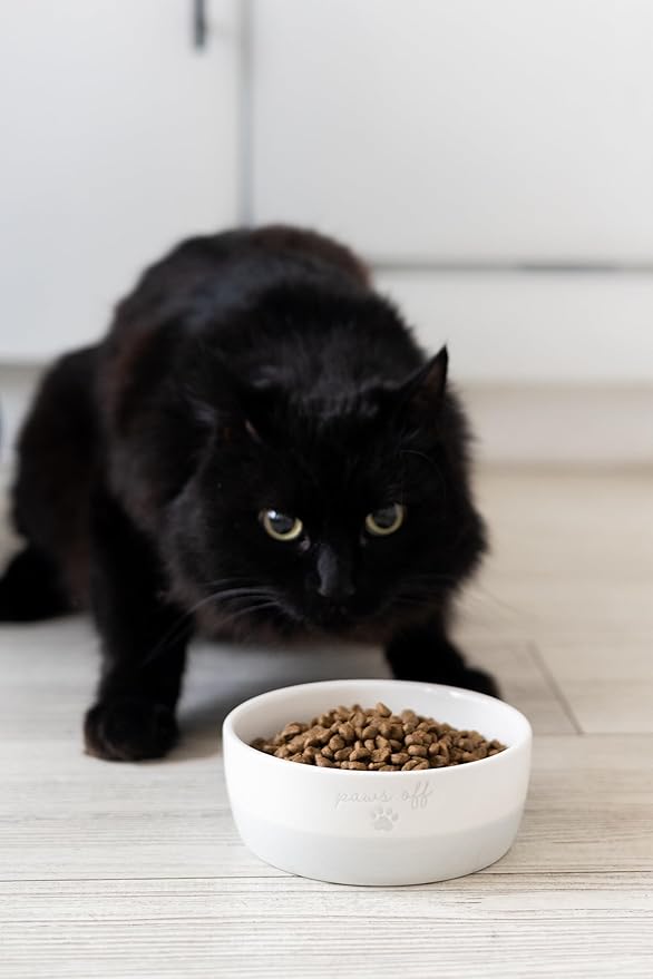 Pearhead Ceramic Paws Off Cat Bowl, Holds 12 oz, Whisker-Friendly Pet Dish for Food and Water, Heavy Non-Slip Base