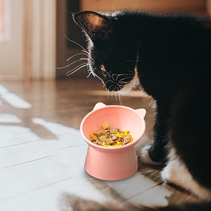 Tilted Elevated Cat Food Bowl - Cats Bowls Whisker Friendly Anti Vomiting Slanted Feeding Bowls Cute Shallow(Tall Cat Bowl-Pink)