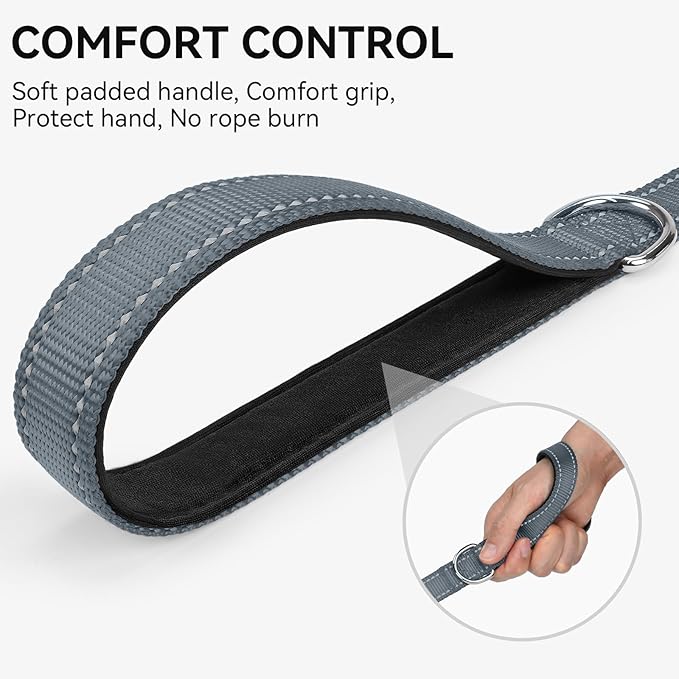 Joytale Dog Leash, 4 FT Double-Sided Reflective, Padded Handle Nylon Heavy Duty Leashes for Small Dogs Walking, Grey