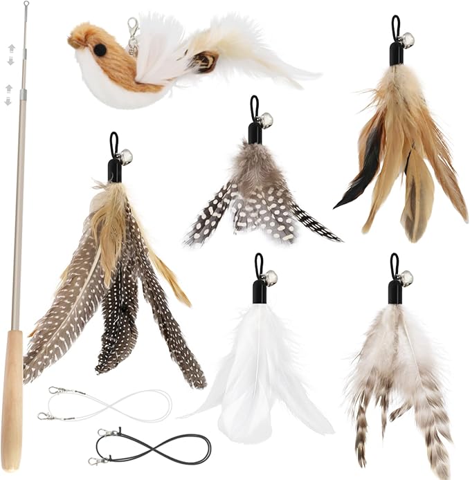 SONGWAY Interactive Cat Feather Toys - Cat Wand Toy Set with Retractable Teaser Wand and 6 PCS Natural Feather Refills, Da Bird Cat Toys for Indoor Cats Kittens