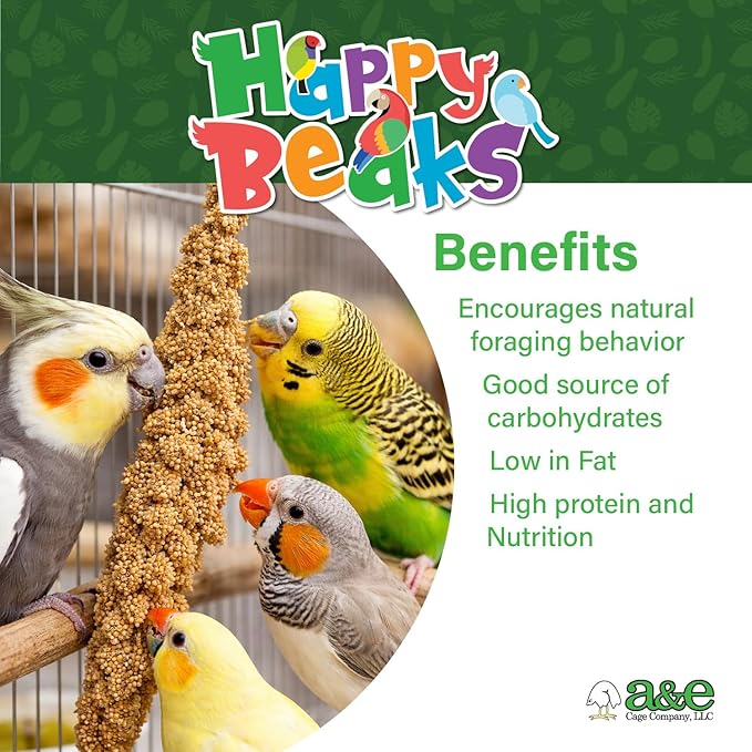 A&E Cage Co Premium French Millet Spray for Birds - 6 Piece, 3oz Pack Natural Spray Millet Treat - Healthy Bird Treat for Parakeets, Budgies, Cockatiels, Finches, Canaries & Small Birds