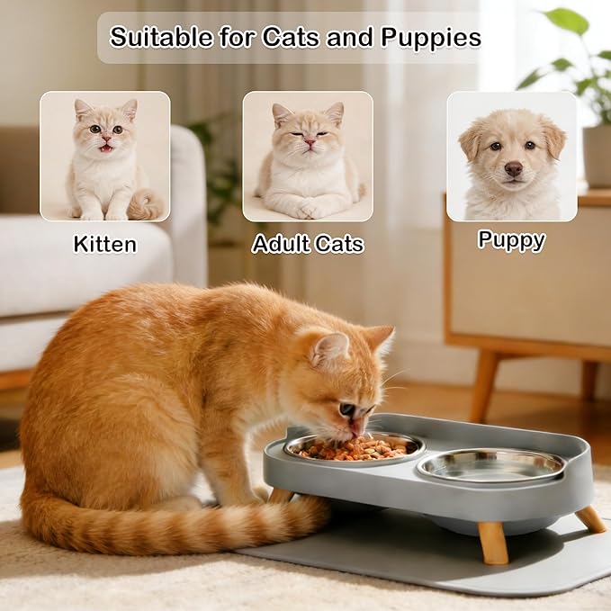 Elevated Cat Bowls with Food Mat, Splash Proof Anti Vomiting Raised Cat Food and Water Bowl Set, 2 Stainless Steel Dishes for Cats and Puppy, Pet Bowl for Indoor Cats Grey