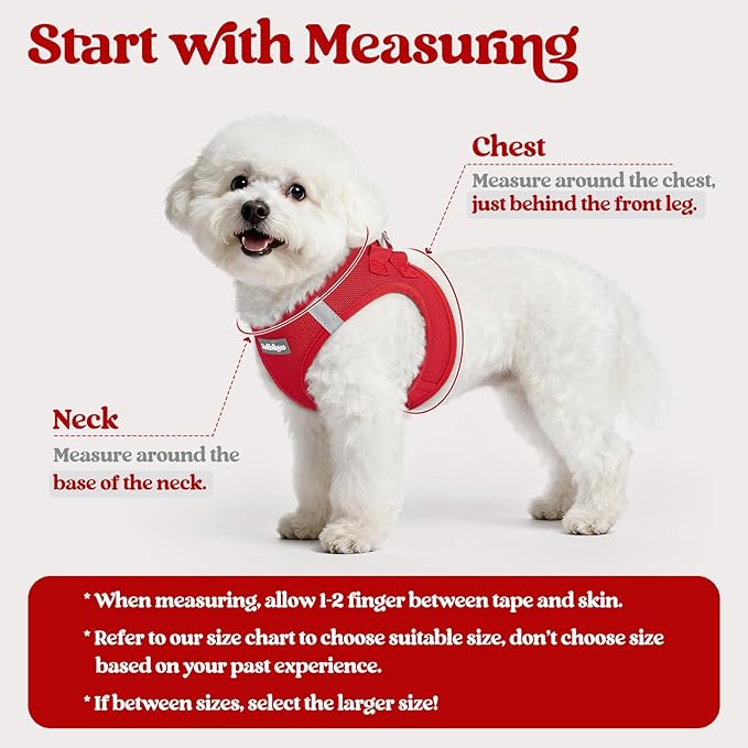 rabbitgoo Dog Harness Small Sized and Leash Set, Step in Soft Light Puppy Vest, Breathable Mesh Pet Harness, Reflective for Safe Easy Walking, Red S