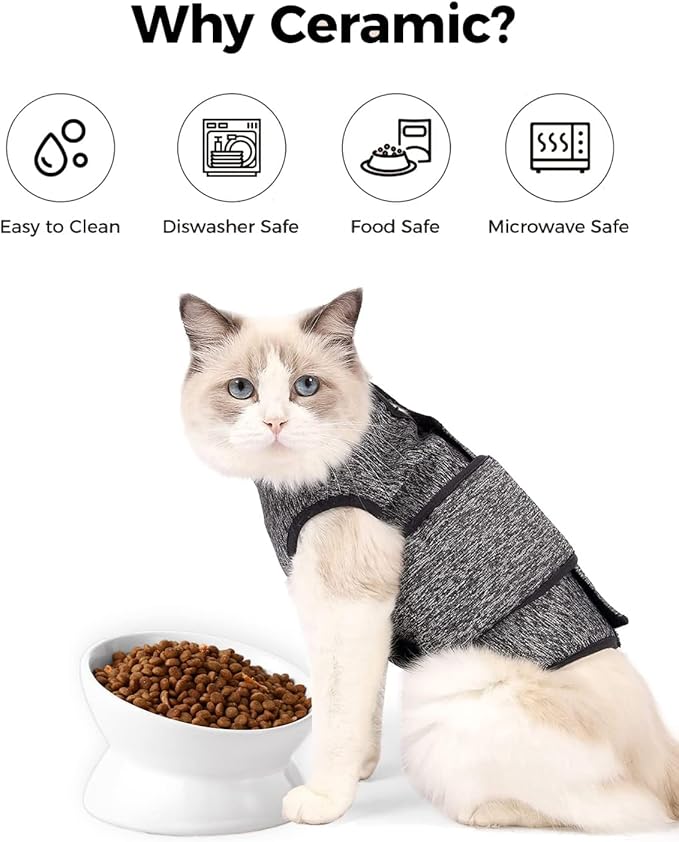 LoeJan Elevated Cat Food Bowl, 5 Oz Ceramic Raised and Tilted Water Bowl, Anti Vomiting and Protect Pets' Spines Dishes for Small Dog, Fat Faced Cat, Kitten (White, 2 Pack)