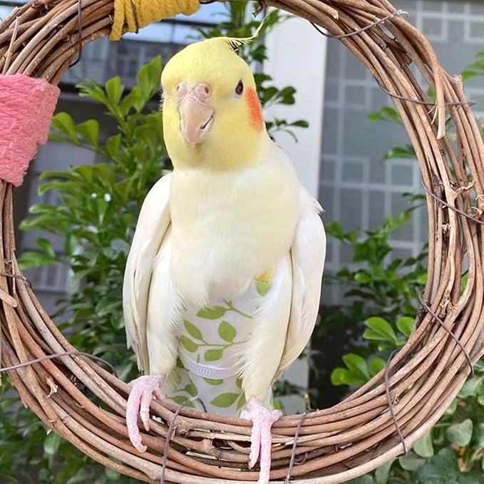 Bird Diaper Harness Flight Suit Clothes, Parrot Flight Suit with Leash for Parrot, Bird Flying Clothes with Rope for Outdoor Activities Training (Green Without Leash,Macaw)