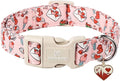 Maca Bates Valentine's Day Dog Collar with Red Heart Char,Love Letter Pattern Valentines Dogs Collars Durable Soft Adjustable Collor Valentine for Extra Small Girl Boy Puppy Pet