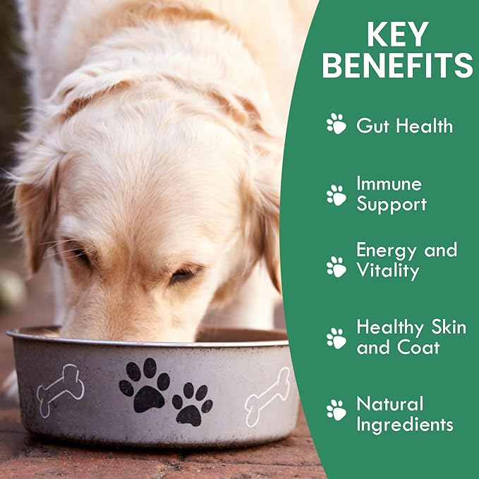 Holistic Bin Canine Gut Biome Blend | Nutrient-Rich Dog Food Toppers | Plant-Based Supplements for Pets Digestion | Probiotic & Prebiotics Canine Daily Overall Wellness Essentials | | Gut Biome (50g)