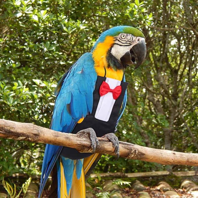 HANABASS Parrot Diaper Flight Suit Lightweight Breathable Washable Reusable Bird Diapers with Bowknot Design Pet Bird Clothes for Cockatiels Conures Budgies Small Birds