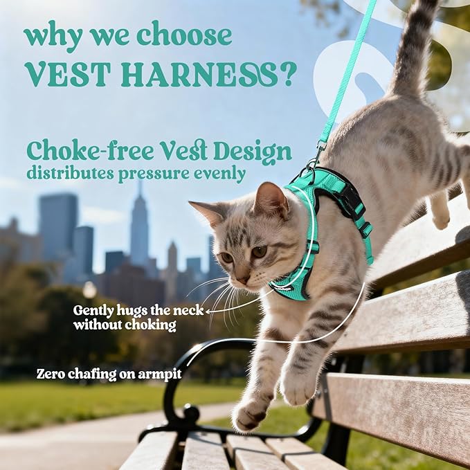 rabbitgoo Cat Harness and Leash for Walking, Escape Proof Soft Adjustable Vest Harnesses for Cats, Easy Control Breathable Reflective Strips Jacket, Emerald, XXS