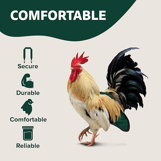 Hen Holster Premium Starter Kit - Bird Diaper, Wrap Around for Hens, Roosters, Ducks - Leak-Proof, Comfortable Bird Harness with Sewn-in Liner, Secure Hook & Loop Closure - XL, Green