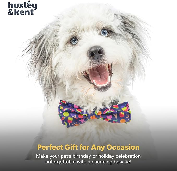Huxley & Kent Pet Bow Tie for Dogs & Cats - Summer Theme Adjustable Hook & Loop Collar Accessory - Cute & Comfortable for Holidays & Celebrations - Summer Icons, Extra-Large
