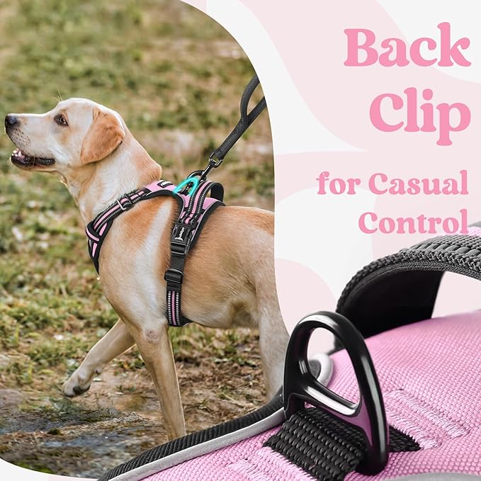 rabbitgoo Dog Harness Small Sized, No Pull Pet Harness with 3 Buckles, Adjustable Soft Padded Vest with Control Handle, Walking Reflective Pet Vest for Small Dogs, Pink, S