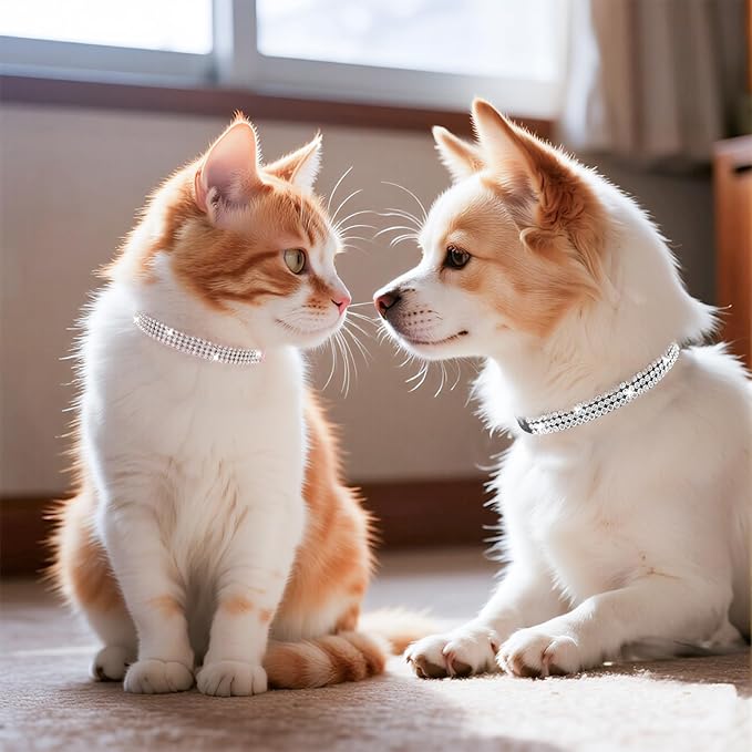 PUPTECK Basic Adjustable Cat Collar with Bling Diamond and Double Bells, for Kitten and Small Puppy, Fashion and Shining Dog Rhinestone Collars, 11-14in, Pink