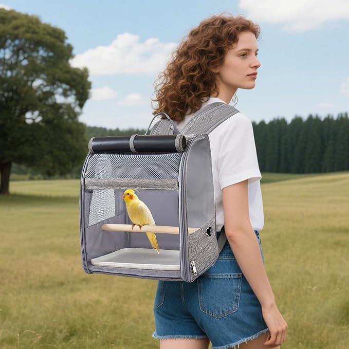 PETCUTE Bird Carrier Backpack,Breathable & Portable,Pet Travel Cage with Upgraded Tray and Standing Perches,Lightweight Foldable Birds Travel Cage for Hiking Camping,for Small Birds, Green Cheek