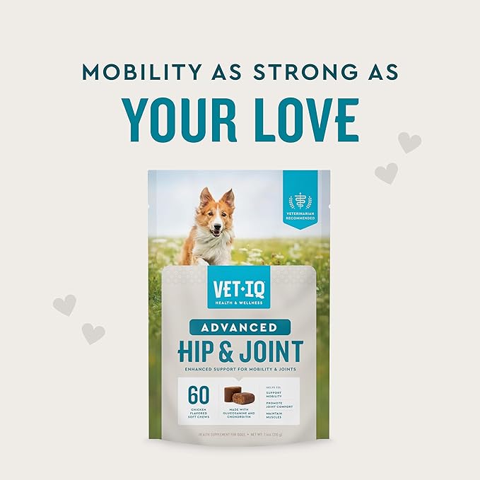 VetIQ Advanced Hip & Joint Chews For Dogs, 60 Count, Chicken Flavored Supplements Made with Glucosamine, Omega 3’s, Chondroitin, MSM & Green Lipped Mussel, Increases Mobility & Maintains Muscles