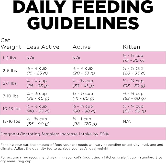Go! Solutions Skin + Coat Care Chicken Dry Cat Food with Grains, Healthy Kibble with Omega-3s & 6s for Soft, Shiny Fur, for Kittens, Adults, & Seniors, 8 lb Bag