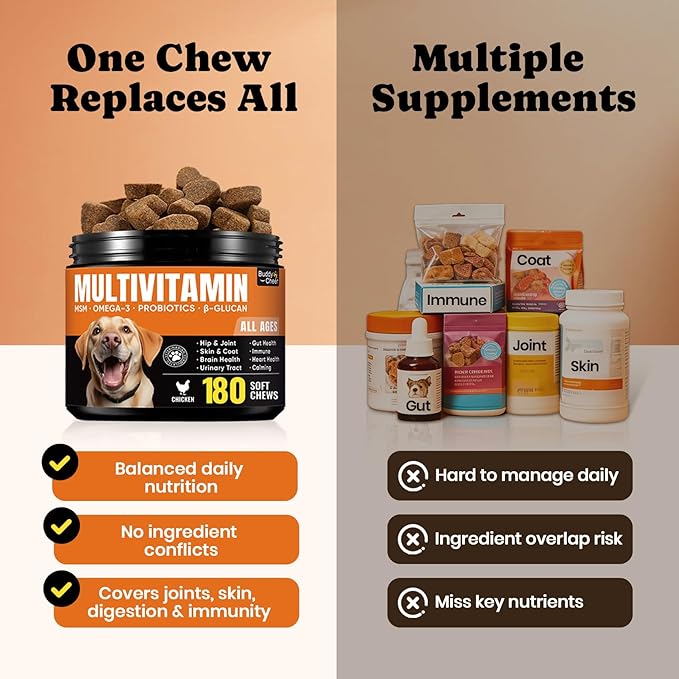 Dog Daily Nutrition & Digestive Support Bundle – Multivitamin Soft Chews with Probiotic Powder for Gut Health & Wellness