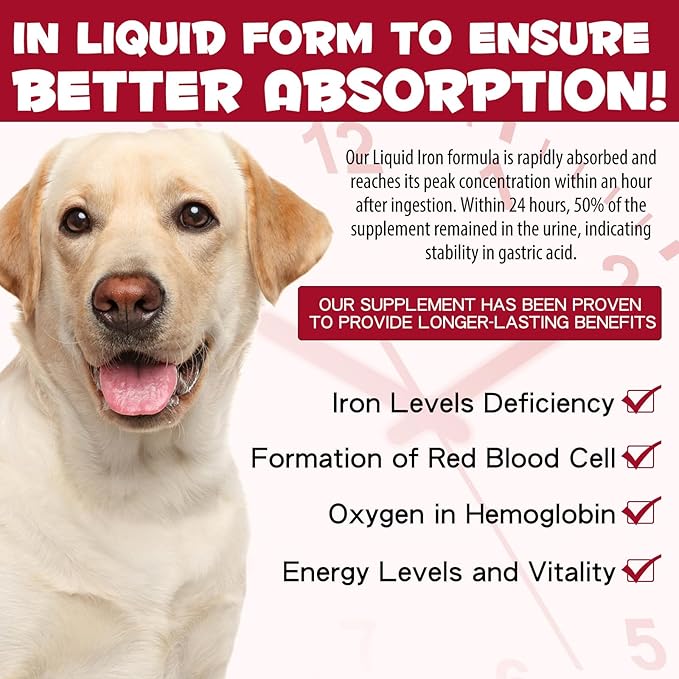 Iron Supplements for Dogs, Liquid Iron for Dogs with Folate and B12 Supports Anemia, Supplement for Anemia, Promotes Blood Health 2 oz
