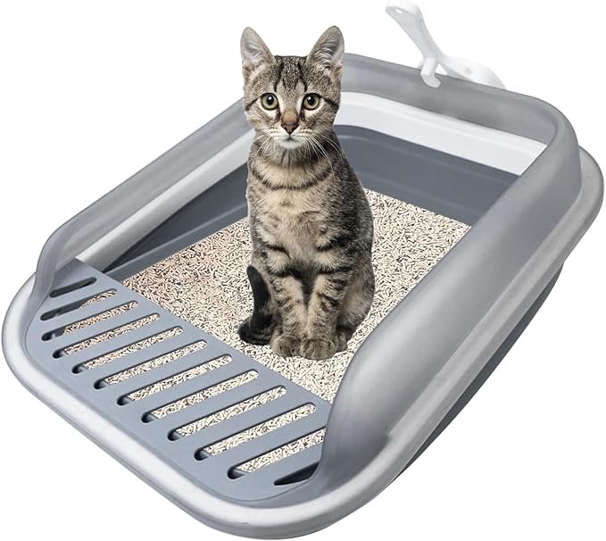 VCEPJH Collapsible Litterbox with High Sides Small Cats Litter Pan with Scoop Open Cat Litter Box Portable Travel Kittens Toilet Kitten Starter Kit for Kittens Adult and Elderly Cats (Grey)