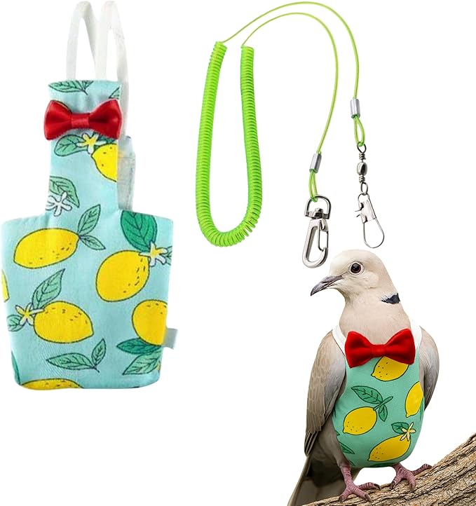 Pigeon Diaper Harness and Bird Leash, Diapers for Birds with Leash, Bird Diapers for Pigeons, Diaper Pants for Cockatiel African Grey Parrot Budgie, Cage Accessories (M-Green)