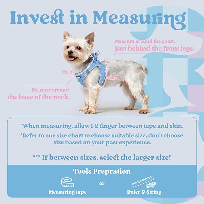 rabbitgoo Small Dog Harness, Step-in Soft Mesh Puppy Vest with Safety Buckle, Breathable Reflective Pet Harness for Extra Small Dogs, Blue & Plaid Trim XXS