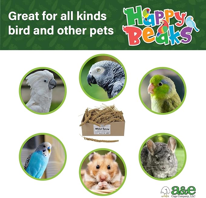 A&E Cage Co AE9055 Premium French Millet Spray - 5lb Bulk Box Natural Spray Millet for Birds - Healthy Bird Treat for Parakeets, Budgies, Cockatiels, Finches & Small Birds
