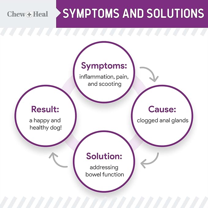 Glands Bowel Support - 5.4 oz of Stop The Scoot Powder for Scooting, Healthy Anal Glands, and Digestive Health - Made with Pumpkin Powder for Dogs