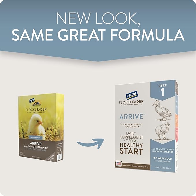 FlockLeader Arrive, Daily Probiotic & Prebiotic Poultry Supplement for Young Chickens 0-8 Weeks Old, 8 oz