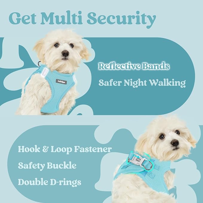 rabbitgoo Small Dog Harness, Step-in Soft Mesh Puppy Vest with Safety Buckle, Breathable Reflective Pet Harness for Extra Small Dogs, Mint Blue XXXS