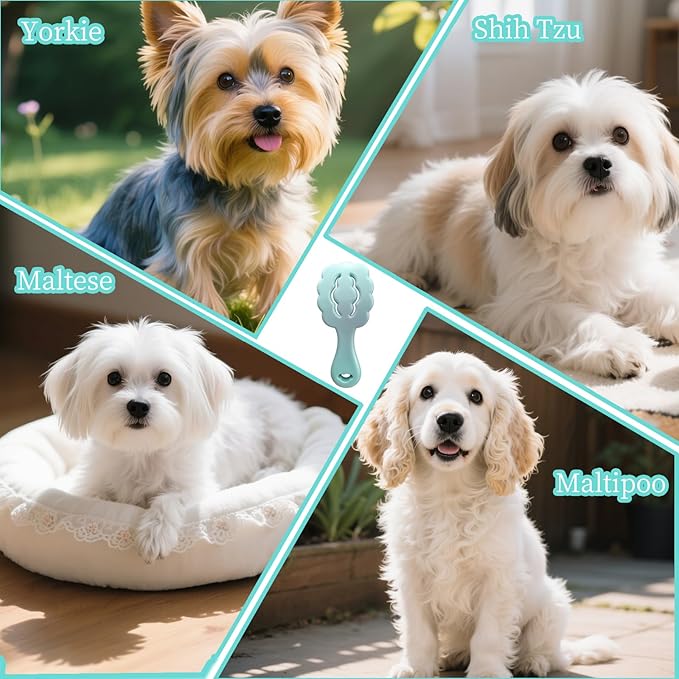 Cloud-Shaped Soft Bristle Small Dog Brush - Hollow Back Design for Easy Grooming - Ideal for Yorkie, Shih Tzu, Maltese Maltipoo Pomeranian- Puppy Essentials, Pet Hair Removal Essentials (Sky Blue)