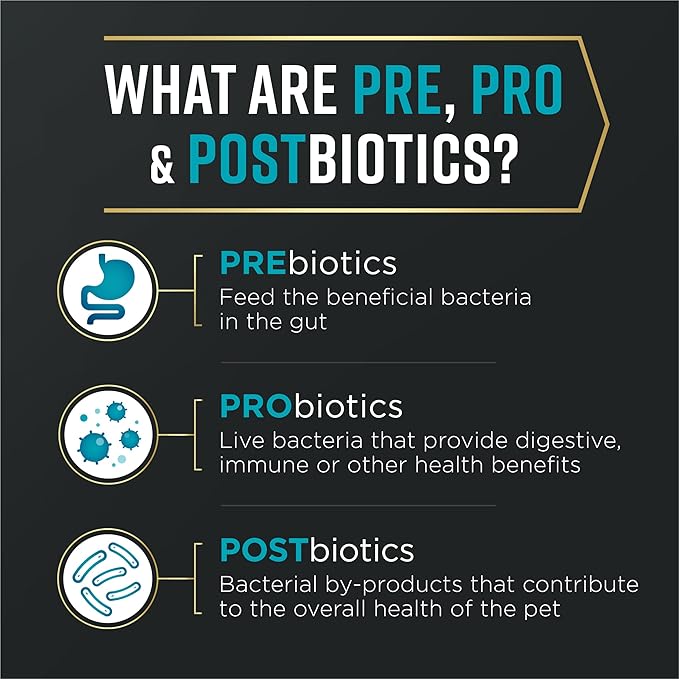 Purina Pro Plan AdvantEDGE Digestive Support Plus Adult Salmon and Rice Formula Dry Cat Food - 3 lb. Bag